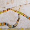 renatemullerdrehsen_cat